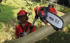 GE-LC 18 Li T-Solo Other Garden Tools|Chainsaws