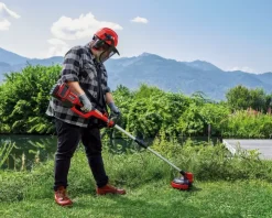 Online GE-LM 36/4in1 Li-Solo Pole Saws