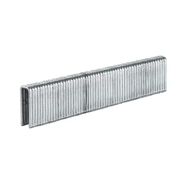 Best Staples, 5.7 x 19 mm, 3000 pcs. Staples / Nails
